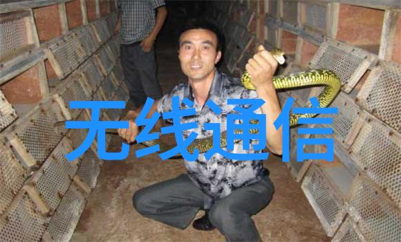 钢铁之心酸碱的考验