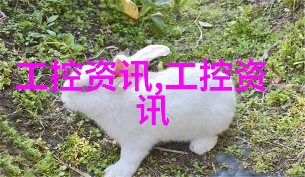 丝网波纹填料厂家专业生产各种规格丝网波纹填料的制造商