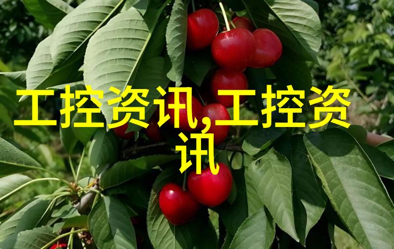 高温杀菌探秘115度与121度的抗菌之战