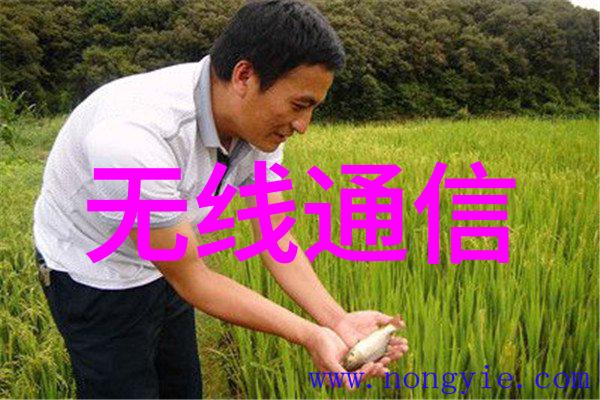 聚乙烯管材的高级选择PE100标准下的强韧性能