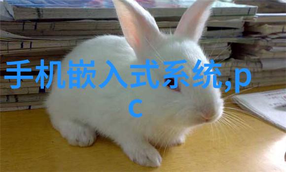 JAPONENSIS SIXAMIRKA东方六星奇迹
