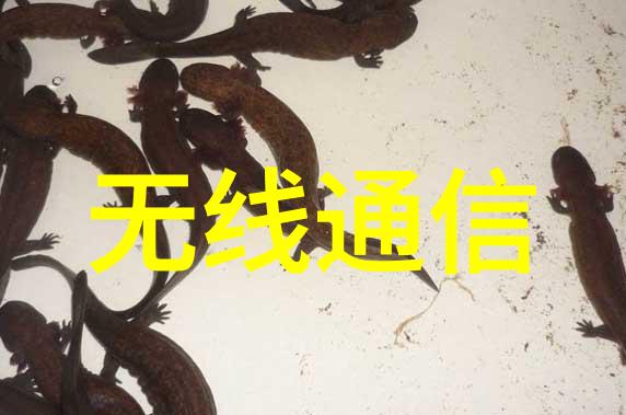 如何在有限的预算下享受内蒙古的大自然之美