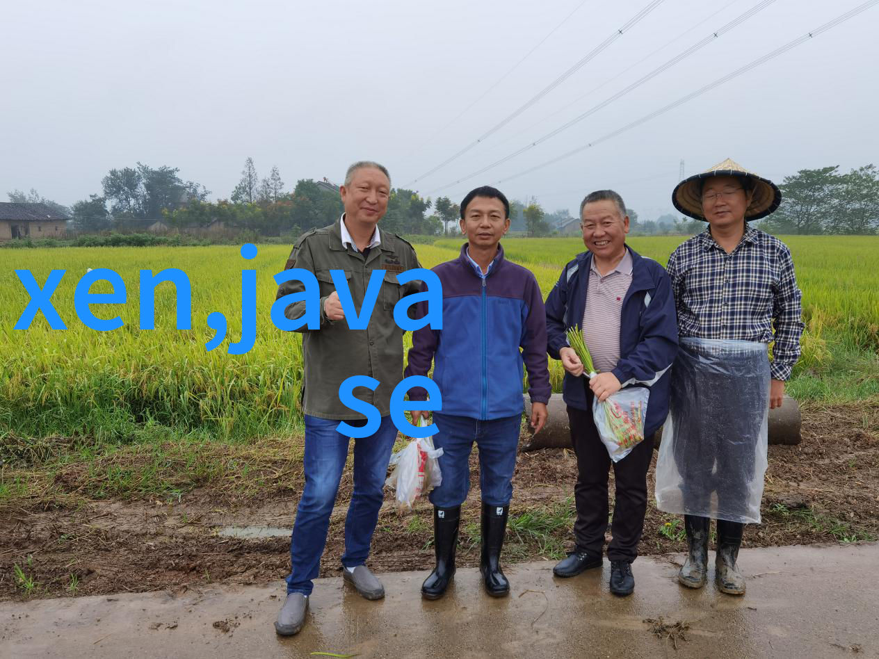 西南财经大学研究生院我在这里的日子是多么充实和有意义啊