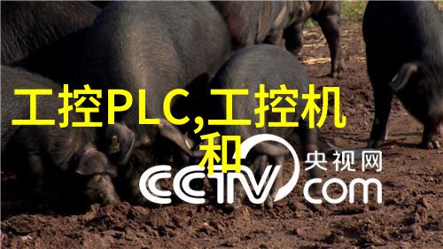 如何通过色彩搭配来营造出舒适温馨的居住环境