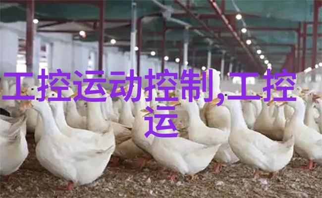 武汉不锈钢加工厂家城市之脊梁与工匠的智慧
