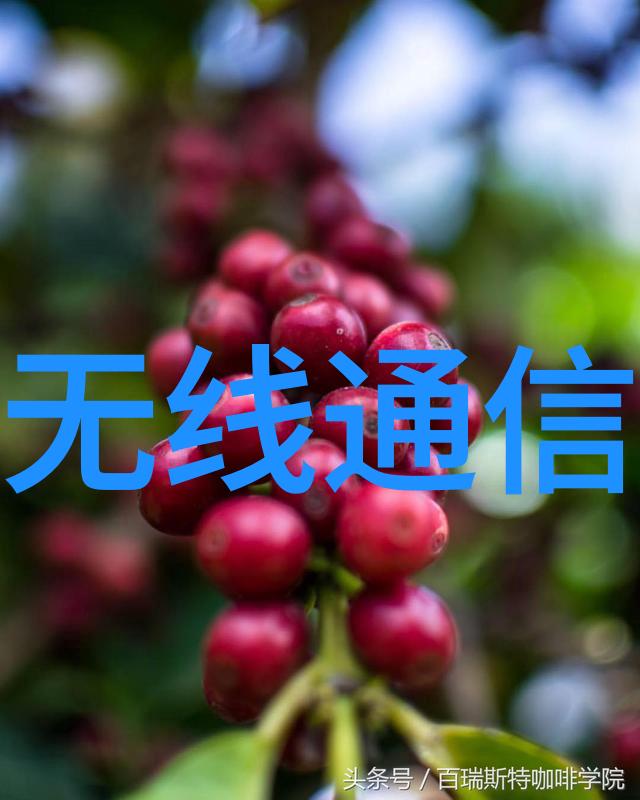 粉土机筛土一体机-高效节能的建筑材料处理新技术