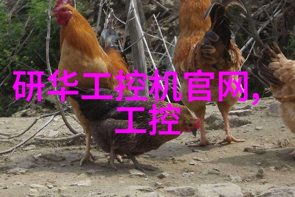 家庭饮用水检测指南确保家中水质安全