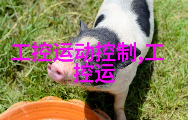 东鹏航空东方的雄鹰展翅飞翔