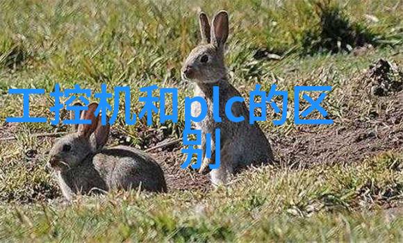 智能交通监控系统赋能城市流动构建安全高效的道路网络