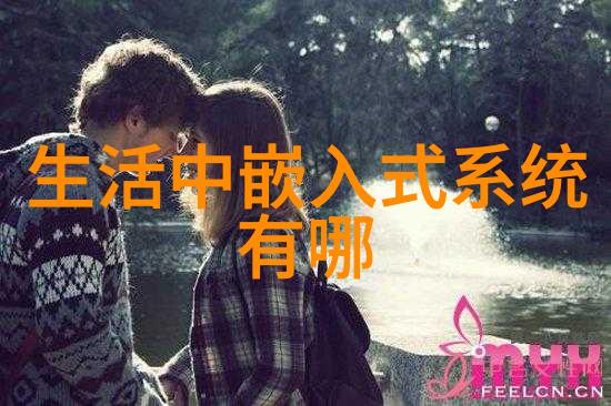 彩钢板我的房子里的不起眼英雄