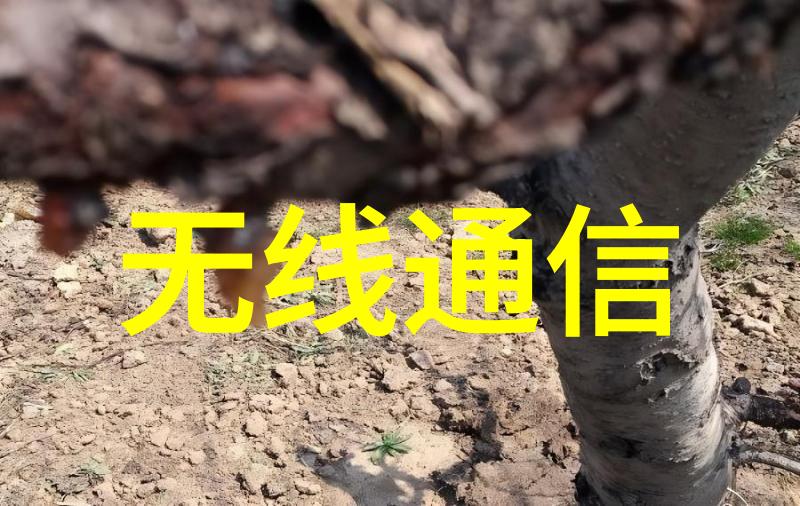 不锈钢喷头坚固的选择清洁的伙伴