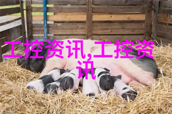 主题我来给你展示一下大面积客厅装修效果图片大全