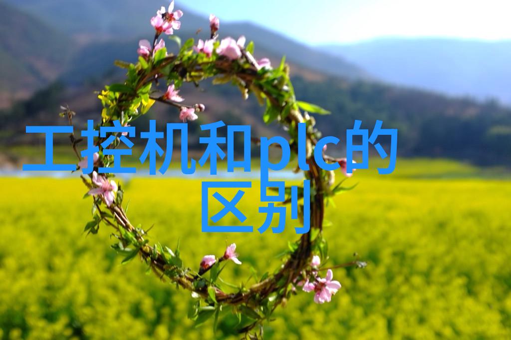 翩翩起舞的梦幻之翼探秘蝴蝶世界中的奇迹与传奇