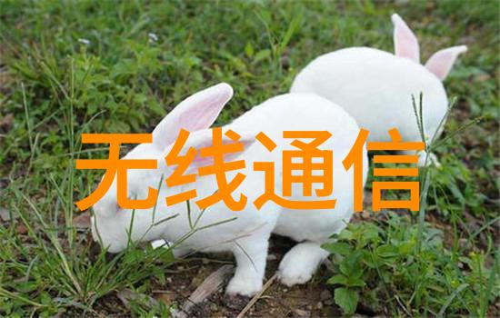 水利水电未来发展趋势-绿色能源革命如何引领水利水电产业向可持续方向转型