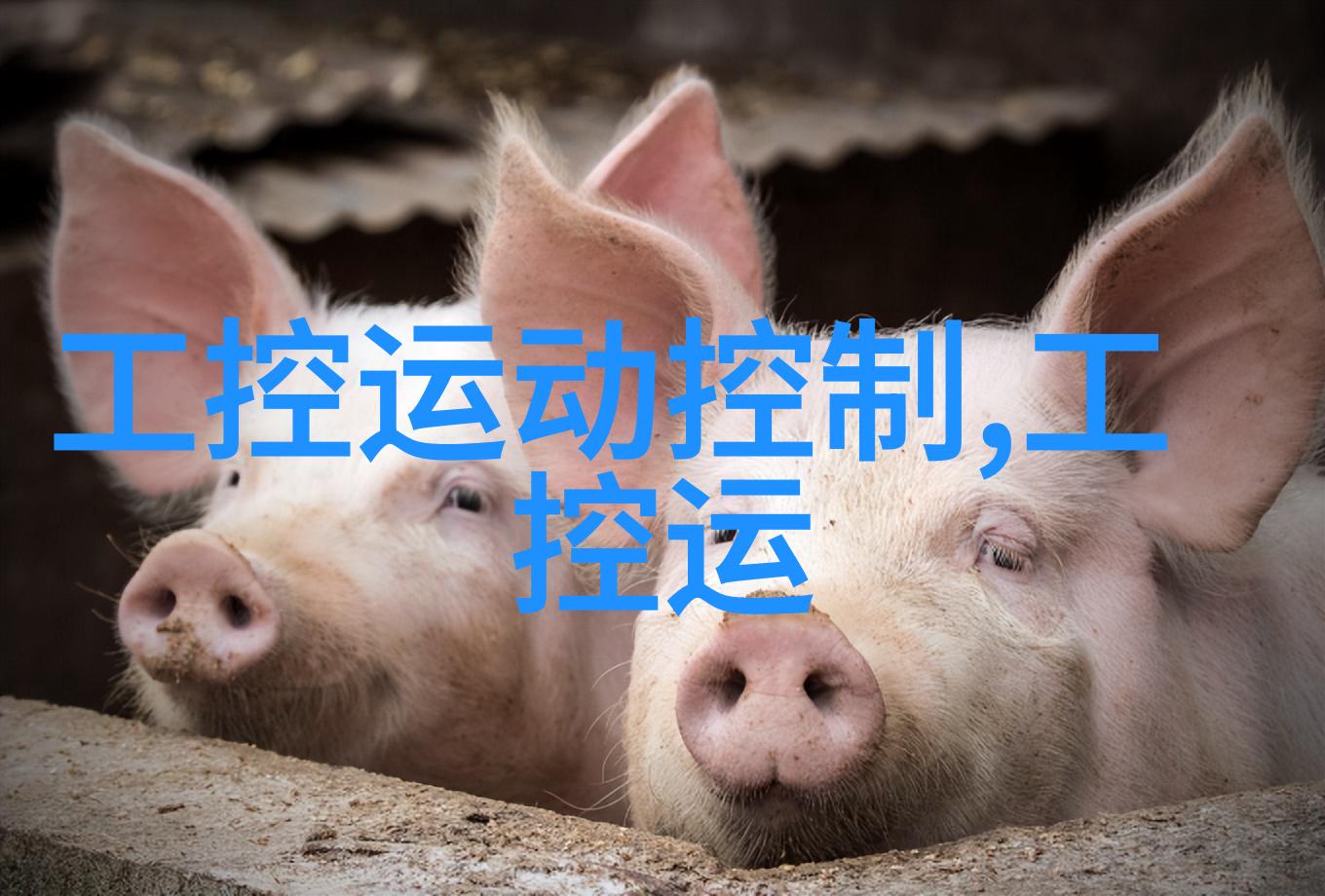 新疆风情的家居装饰乌鲁木齐的室内设计艺术探索