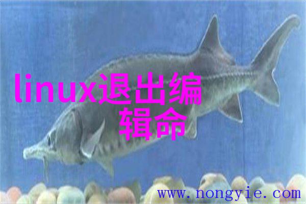 海上钓鱼冒险浪漫的海洋捕鱼体验