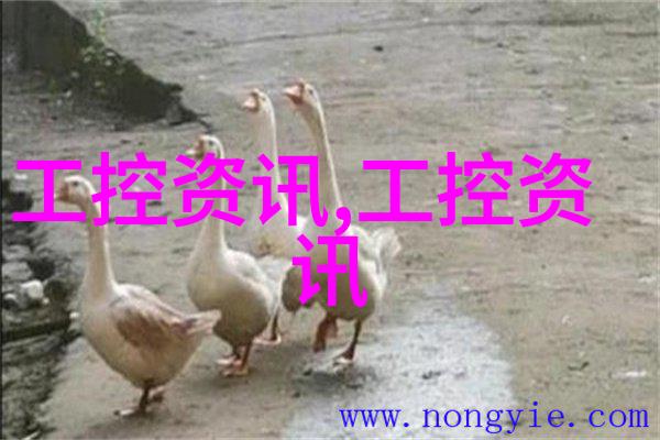 深入解析专业技术资格证书的多样化与分类