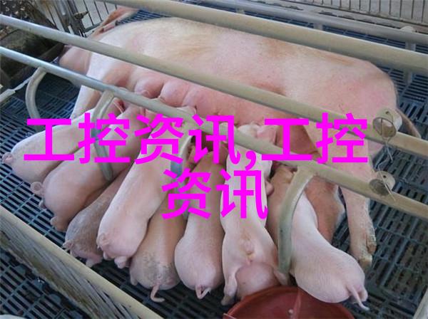 污水净化之旅从工业废弃到清澈溪流的奇迹变换