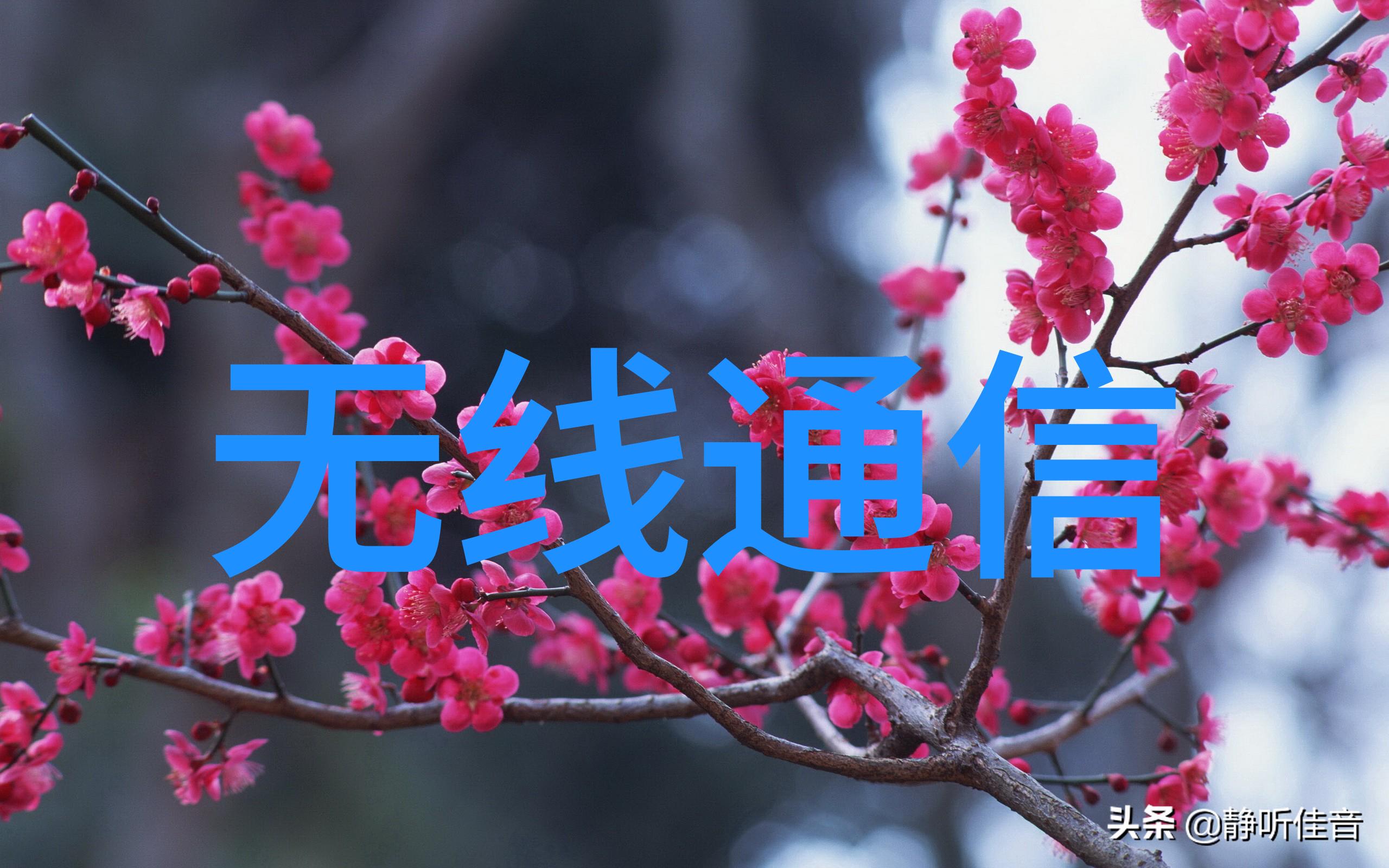 电子balance与电子秤使用技巧及误差消除策略