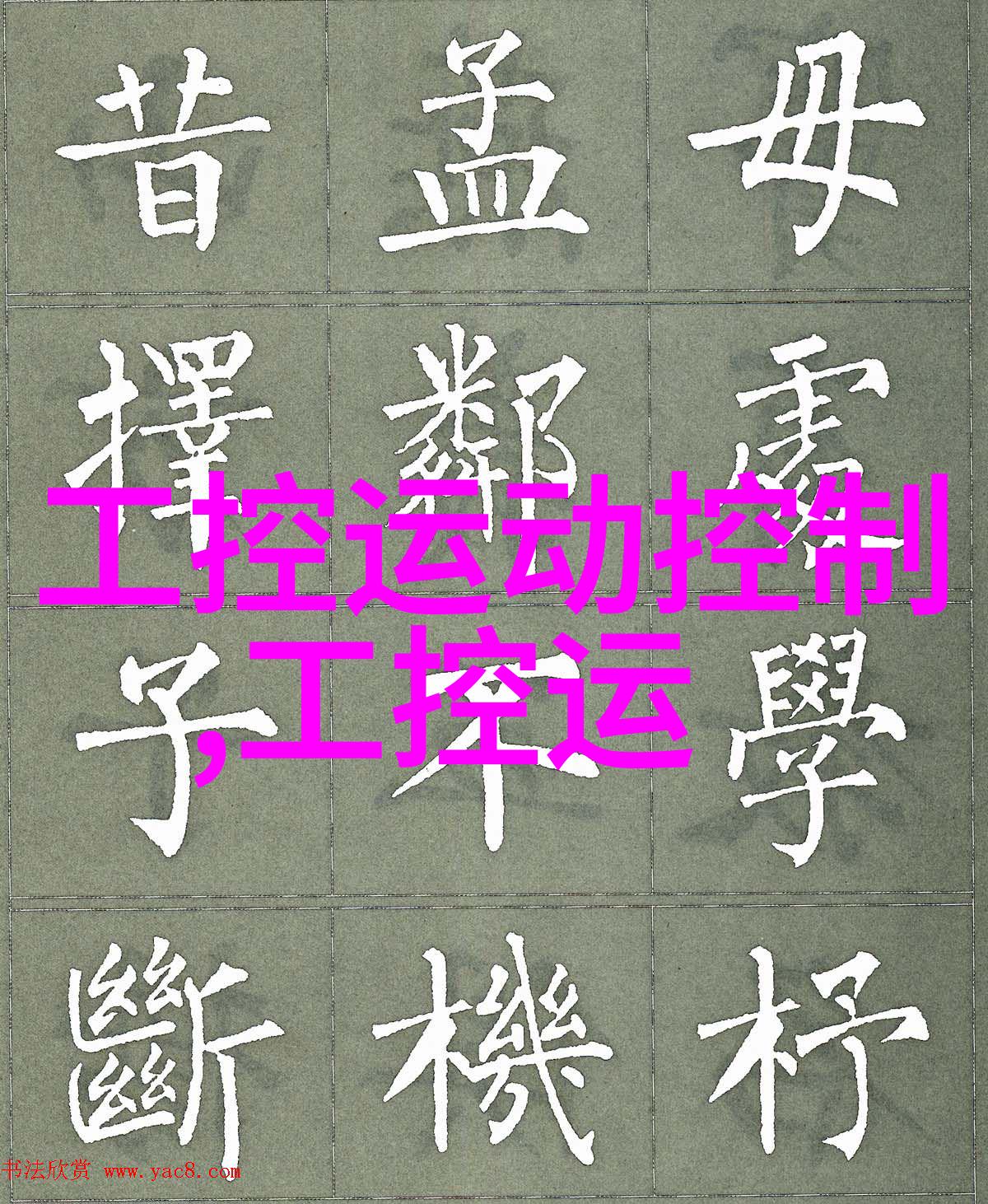 主题我是怎么把丝网填料分块的
