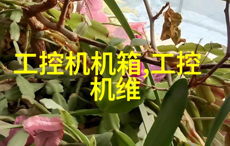 如何确保饮用水的纯净性检测方法与技巧