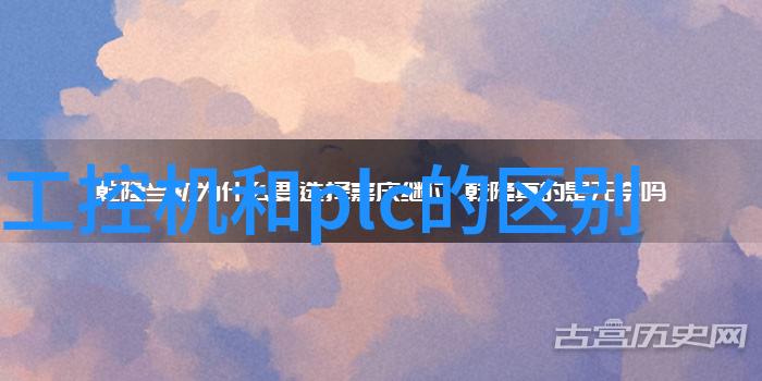 如何操作电蒸汽发生器来制作健康食品