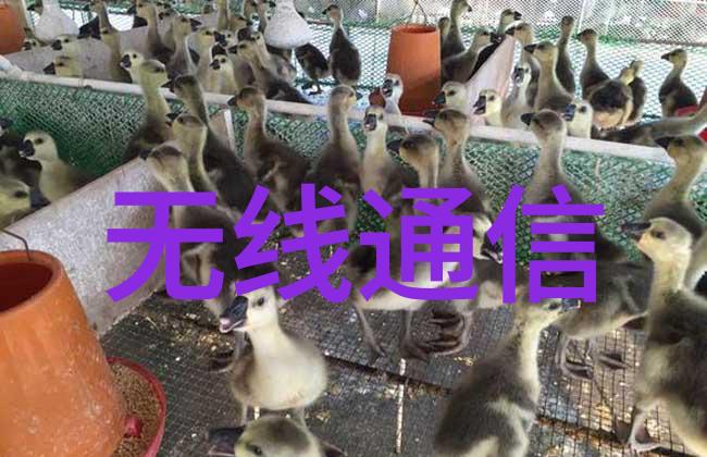 科技之光新华脉动真空压力蒸汽灭菌器的革命性应用