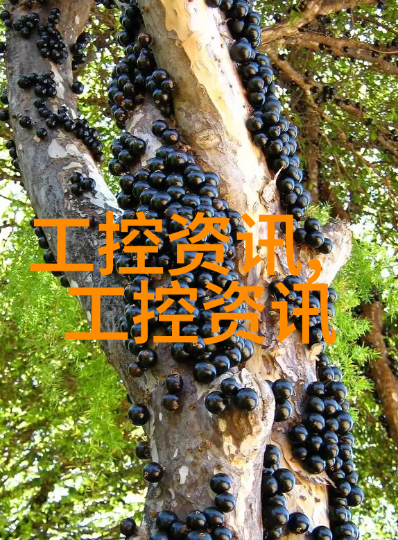 工控机研华领航亚太FTTx用户数全球前列