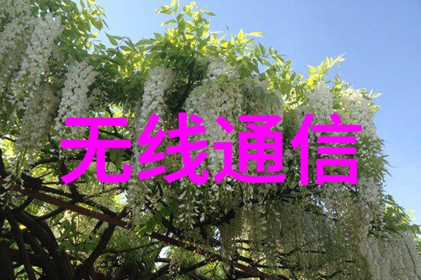 绿色循环杭州制冷设备的新生之路