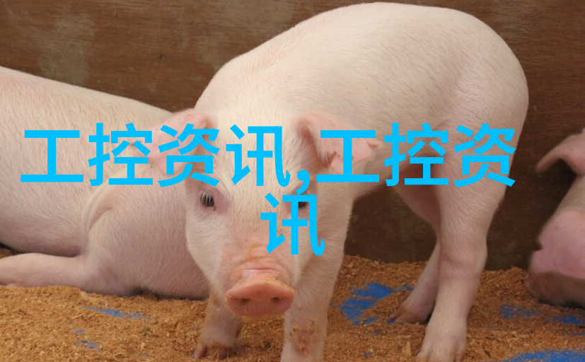 PCR技术的精确复制探索PCR仪在现代生物医学中的应用与重要性