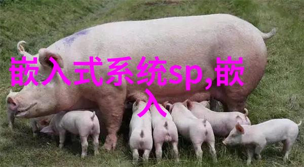 二手杀菌锅转让家用清洁利器寻新主人