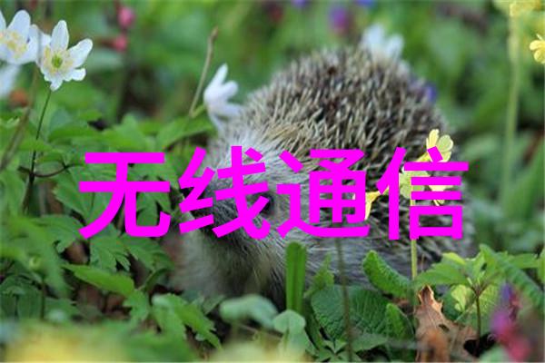烈火燎原燃烧的传说与沉默的英雄