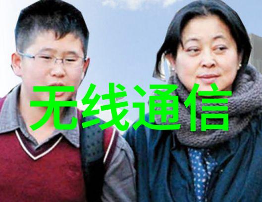 反应器设计结构组成与功能原理的探究