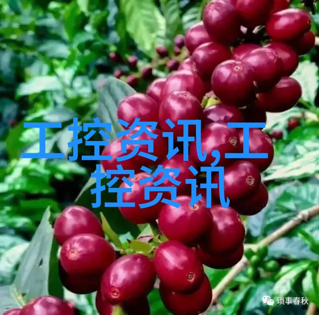 如何对传动带进行有效的维护保养