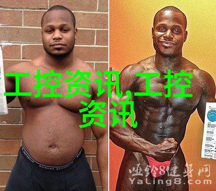 纤维之脉丝绸的治世术