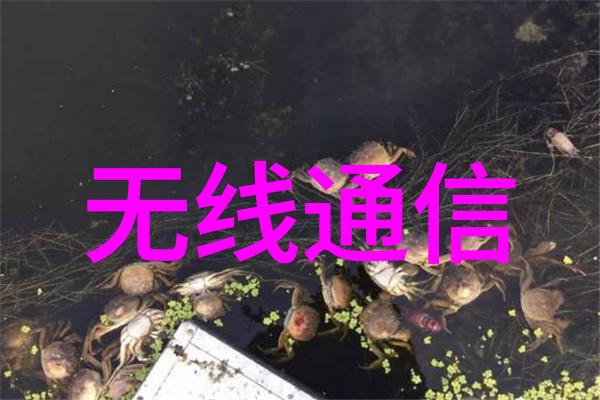 不锈钢种类及用途研究从微观结构到宏观应用的探究