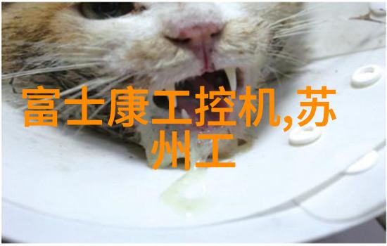 仪器之旅探秘科学实验室的神奇伙伴们