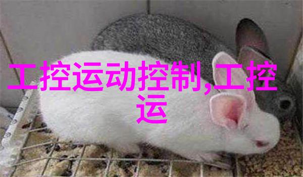 微波杀菌的奥秘热能与水分的巧妙结合