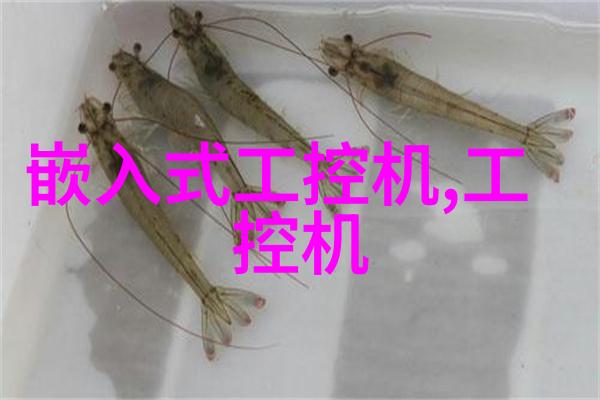 男生心中的秘密花园坤坤与蘑菇的奇妙交响