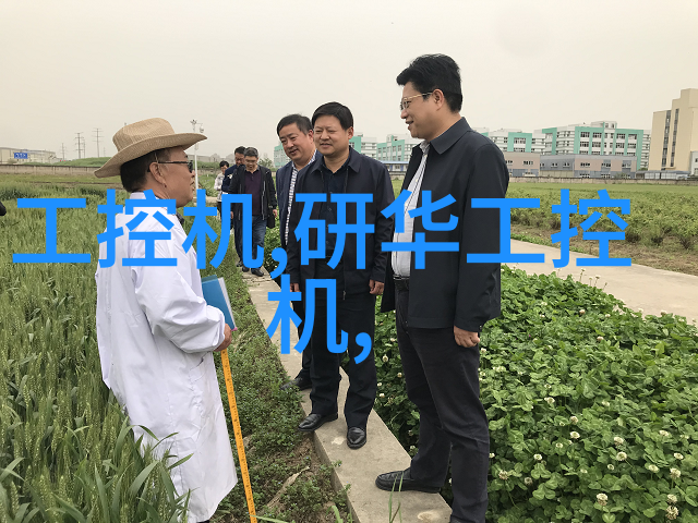 大型化学反应釜-超级混合器揭秘工业巨轮的化工魔术