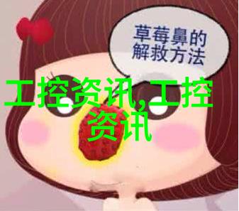 家居装修指南从规划到完工的详细流程