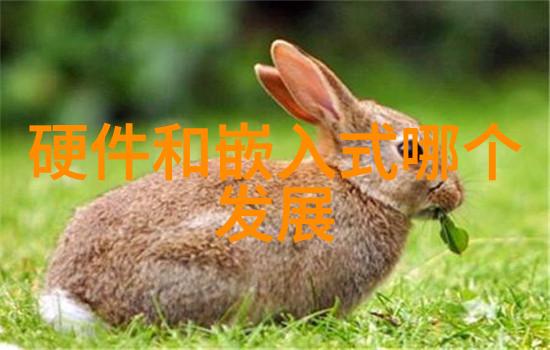 蒸汽的源泉电加热的秘密之城