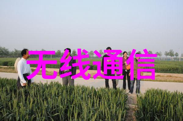 年度工作总结报告概览