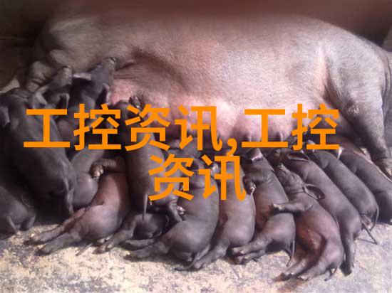 真空包装食品杀菌方法高效无菌技术