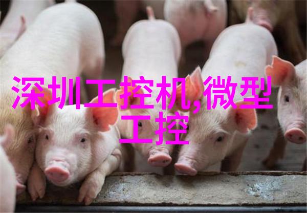现代家居艺术温馨时尚的客厅装修风格探索