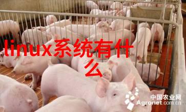 塔式吸收系统设计与优化策略研究