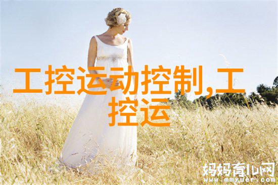 探索PP填料的魅力与实用性