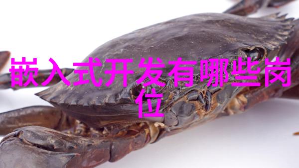 皇帝往下边塞玉器见客我的边塞奇遇
