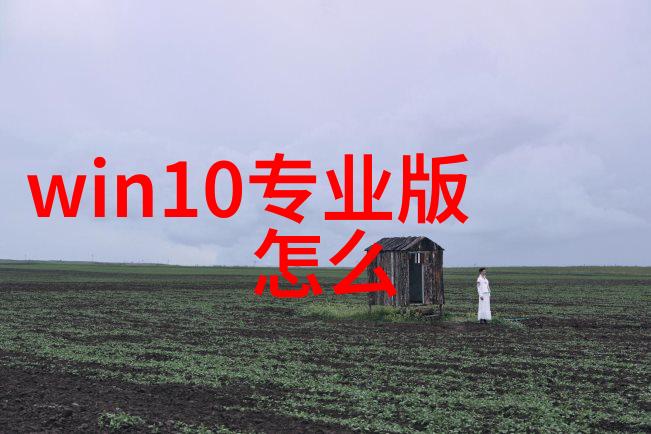 上海霸道的洗车王者