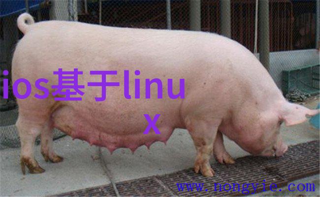 水利水电工程师守护国土的隐形英雄
